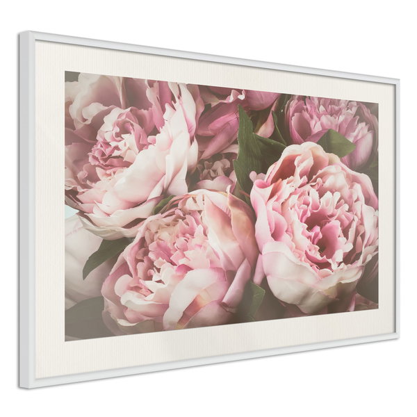 Poster 'Pink Peonies'