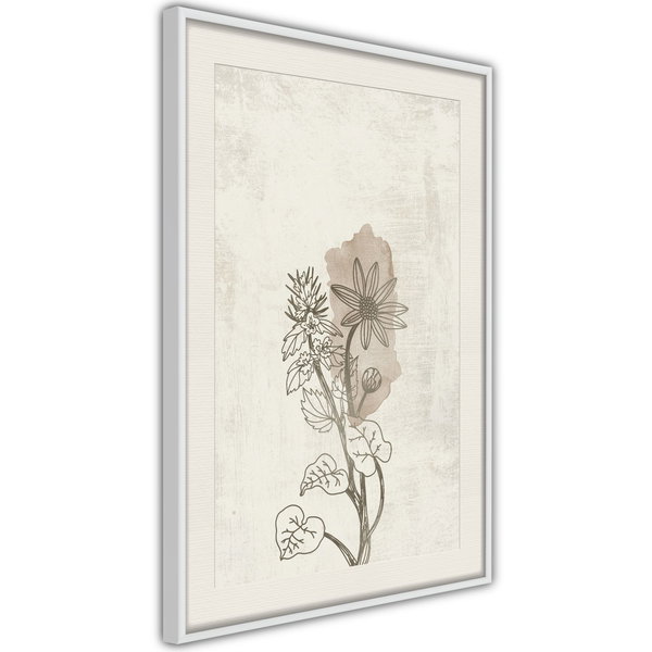 Poster 'Life of Plants'