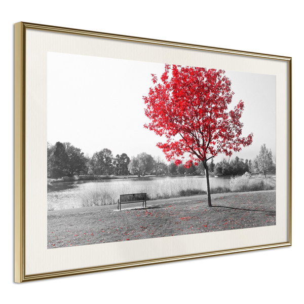 Poster 'Autumn Colours I'