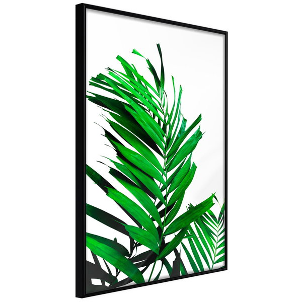 Poster 'Emerald Palm'