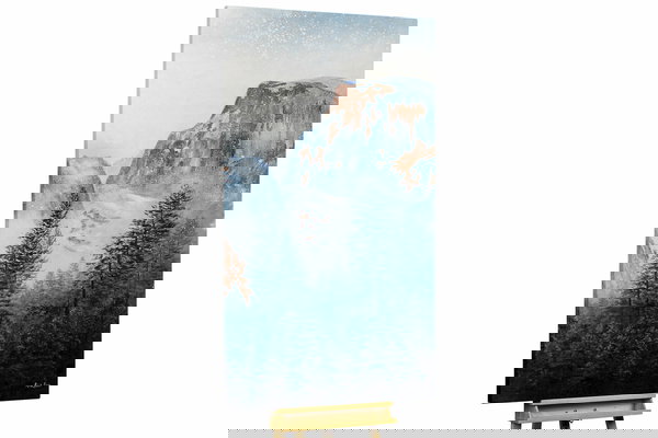 Um exemplar único para a sua decoração interior