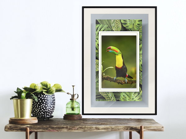 Poster 'Toucan in the Frame'