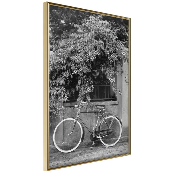 Poster 'Bicycle with White Tires'
