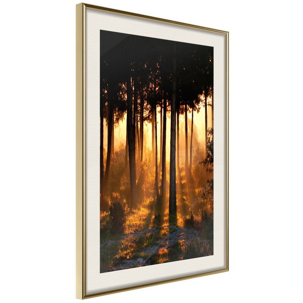 Poster 'Dark Tree Tops'