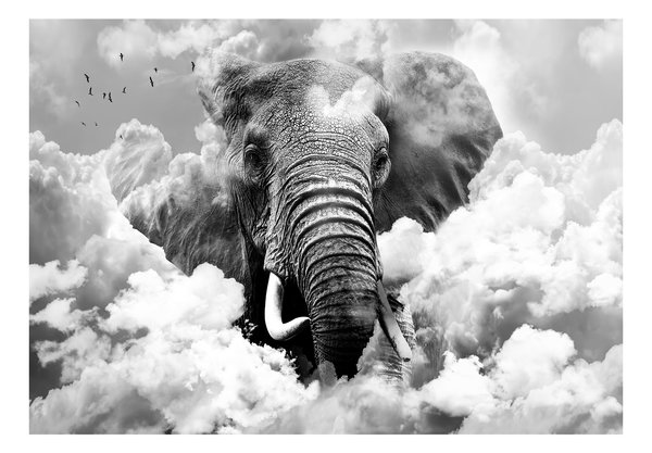 Tapete 'Elephant in the Clouds (Black and White)'