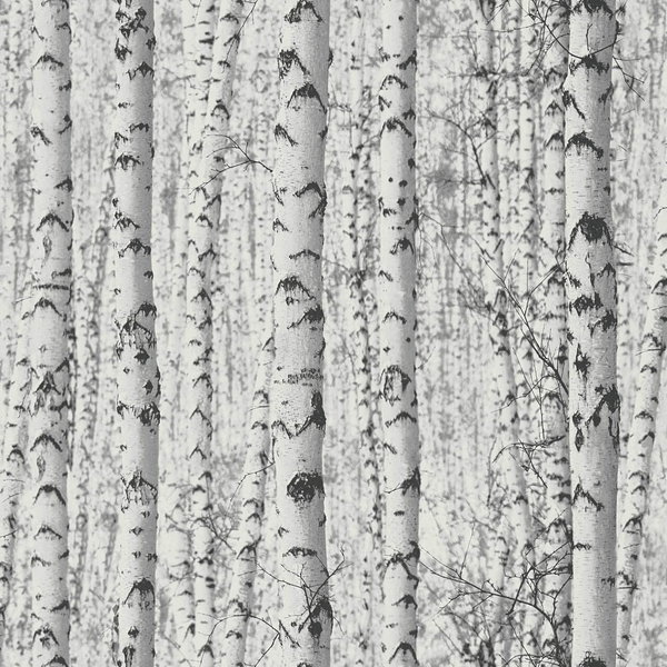 Tapete 'One in a Million' 53x1005cm