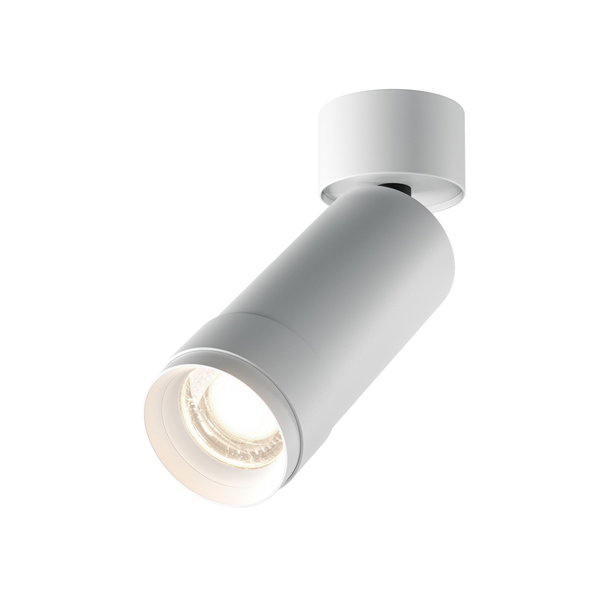 Plafondverlichting 'Focus Zoom 4'
