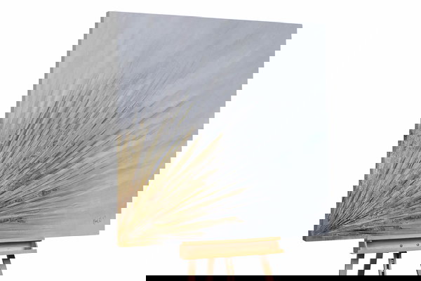 Een uniek exemplaar voor je interieur