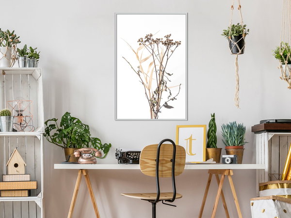 Poster 'Diary of a Herbalist'