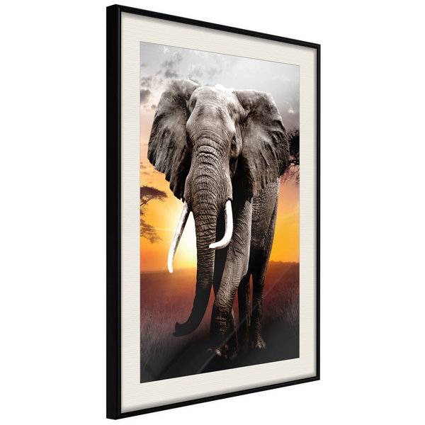 Poster 'Majestic Elephant'