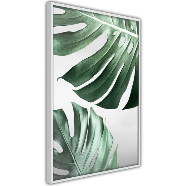Poster 'Leaves Like Swiss Cheese'