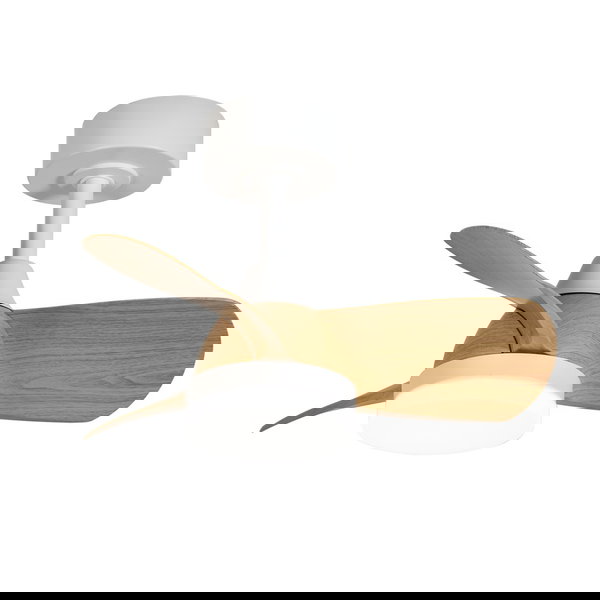 Ventoinha de teto 'Bryan BM1'