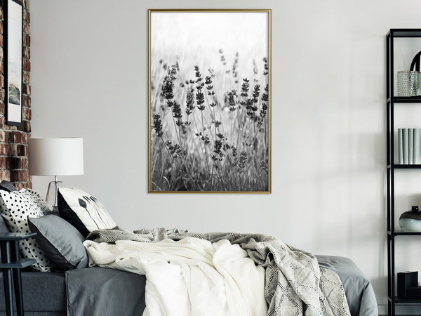 Poster 'Shadow of Meadow'