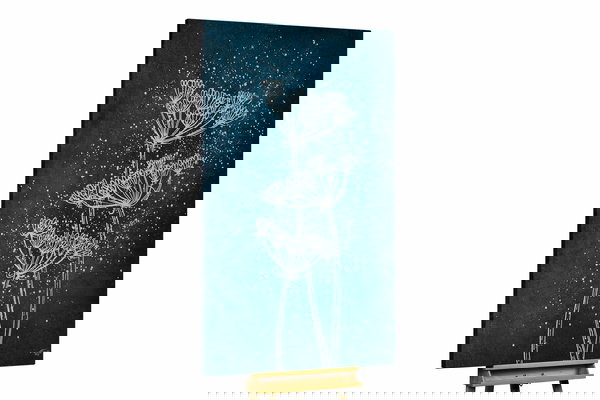 Un ejemplar único para su hogar o puesto de trabajo