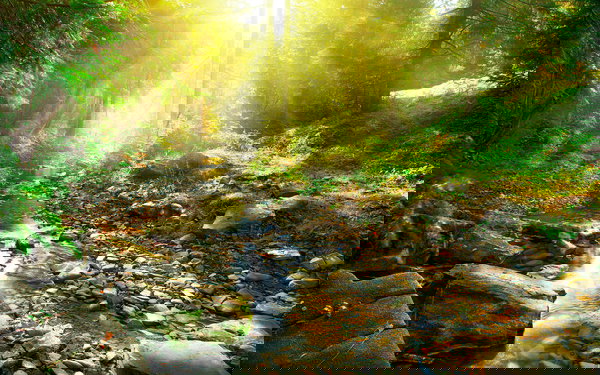 Tapeta 'River' 400x267cm