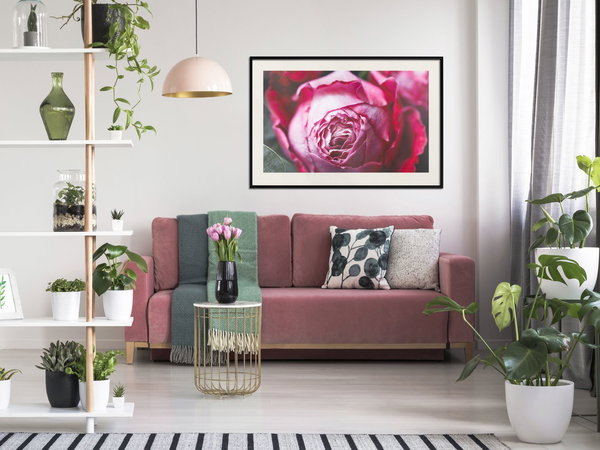 Aφίσα τοίχου 'Blooming Rosae'