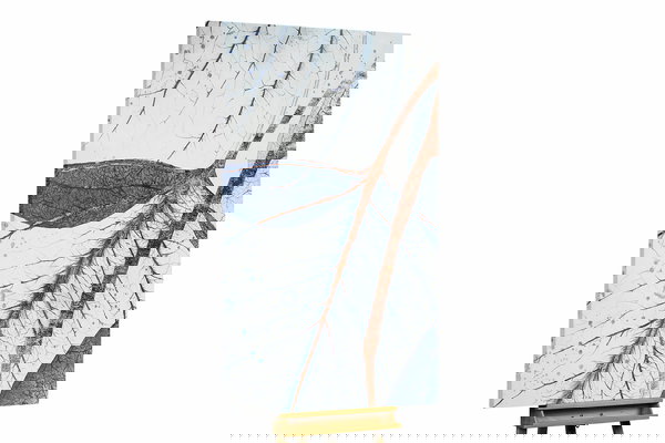 Een uniek exemplaar voor je interieur