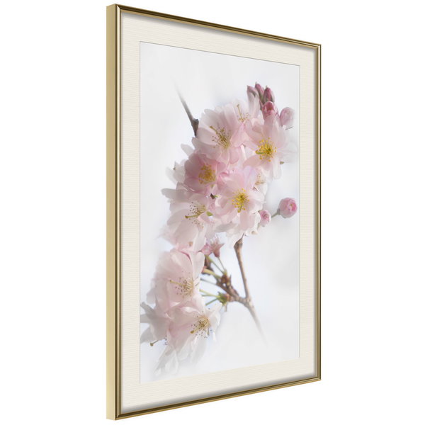 Poster 'Scent of Spring'