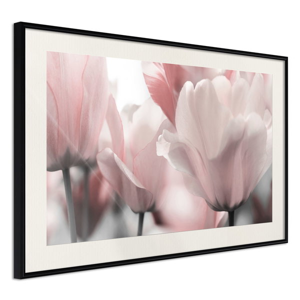 Poster 'Pastel Tulips II'