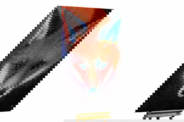 Unikat za sva četiri zida