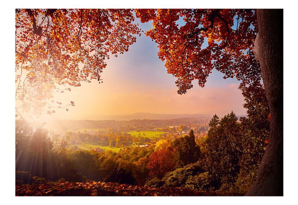 Tapete 'Autumn Delight'