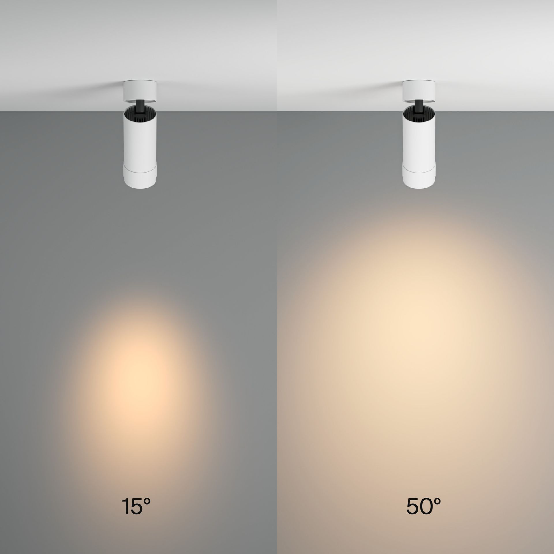 Plafondverlichting 'Focus Zoom 2'