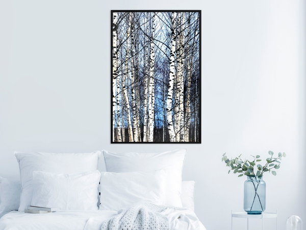 Poster 'Winter Birch Trees'