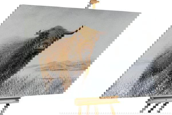 Een uniek exemplaar voor je interieur