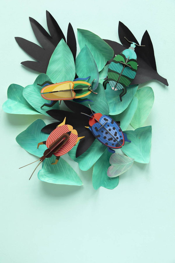 Wanddeko Papier 'Madagaskar-Käfer'