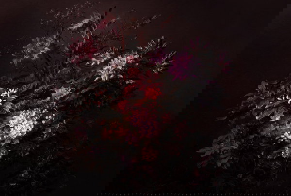 Behang 'Bouquet Noir 1' 400x270cm