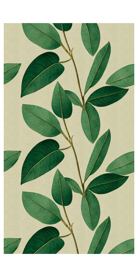 Tapet 'Leafy Elegance' 159x280cm