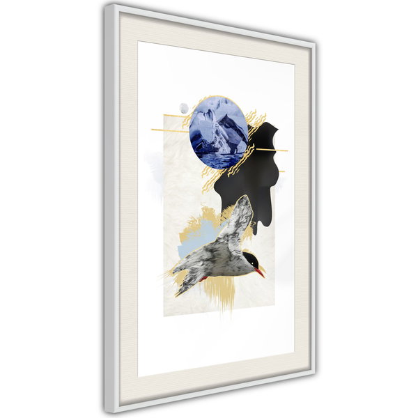 Poster 'Antarctic Tern'
