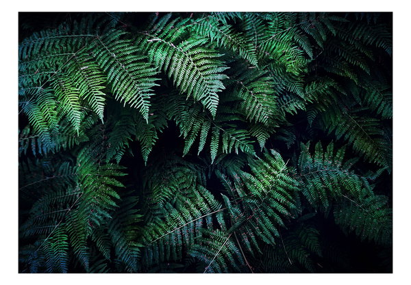 Selbstklebende Tapete 'In the Thicket'