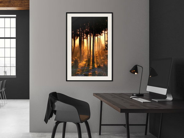 Poster 'Dark Tree Tops'