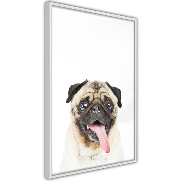 Poster 'Pug'
