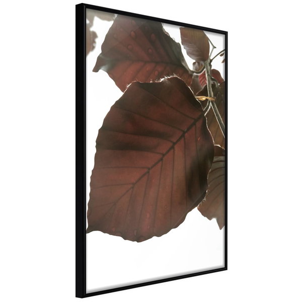 Poster 'Burgundy Tilia Leaf'