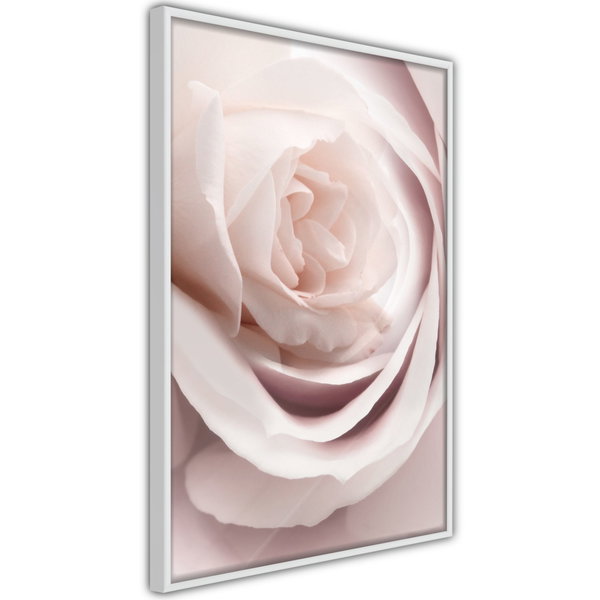 Póster 'Porcelain Rosae'