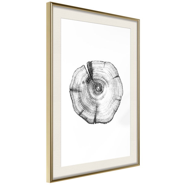 Poster 'Tree Rings'