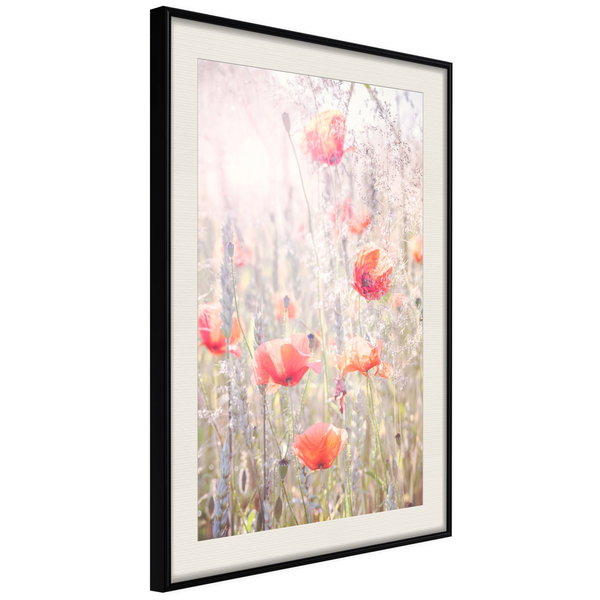 Poster 'Poppies'