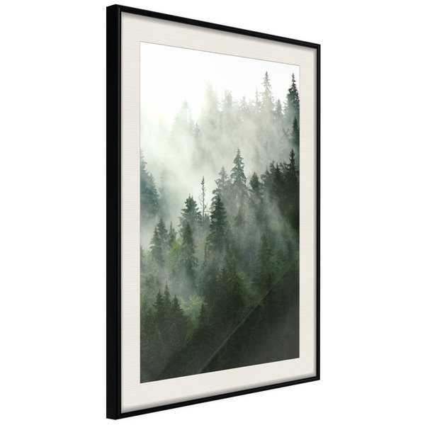 Poster 'Steaming Forest'