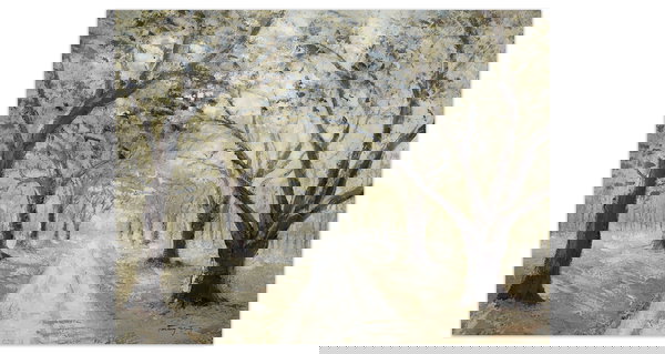 Moderne Kunst für Ihr Zuhause