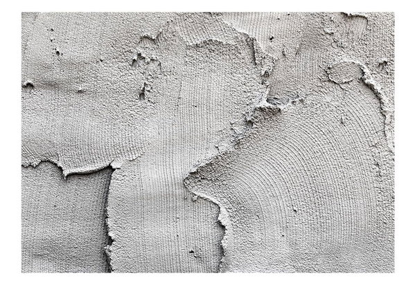 Carta da parati autoadesiva 'Concrete nothingness'