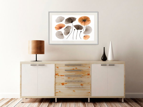 Poster 'Dried Poppies'
