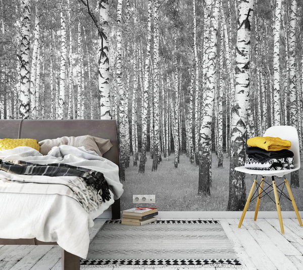 Tapete 'Birch Forest' 336x260cm