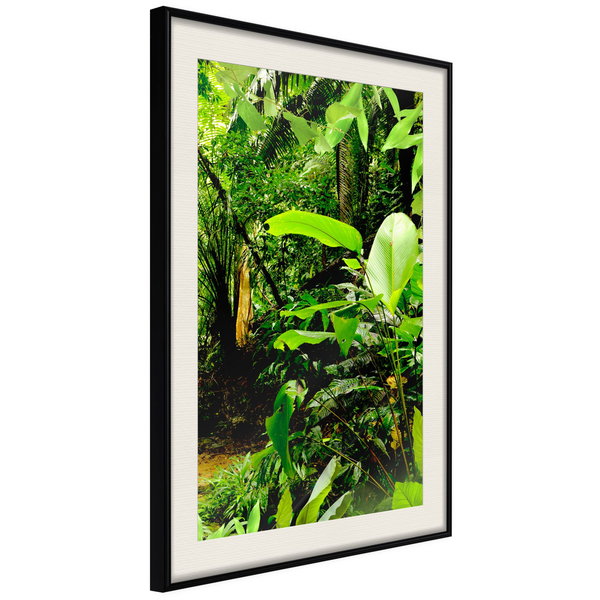 Poster 'In the Rainforest'