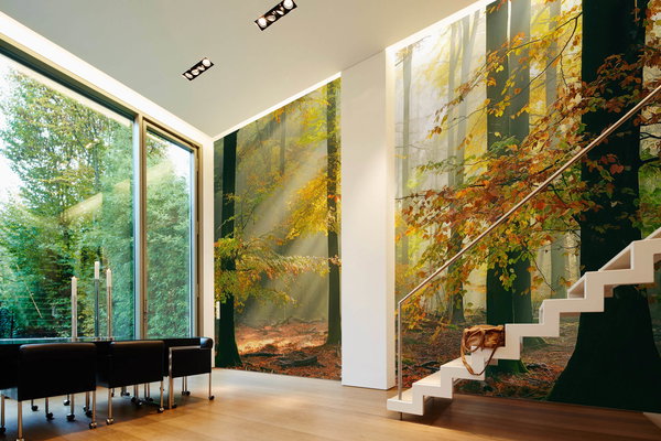 Tapete 'Sinfonia Forest' 500x250cm