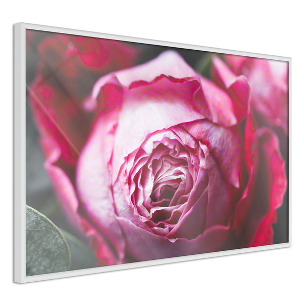 Aφίσα τοίχου 'Blooming Rosae'