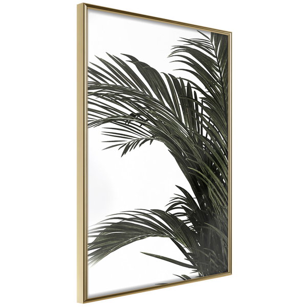 Póster 'Jungle Scent'