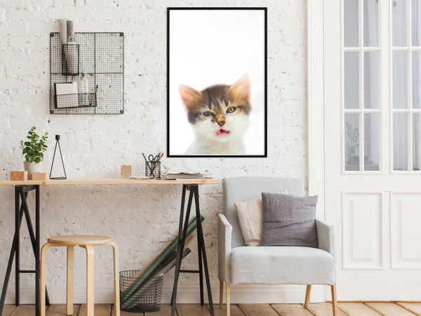 Poster 'Vexed Cat'
