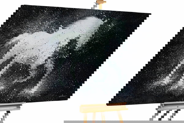 Unikat za sva četiri zida